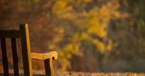 Park Bench During the Fall Time